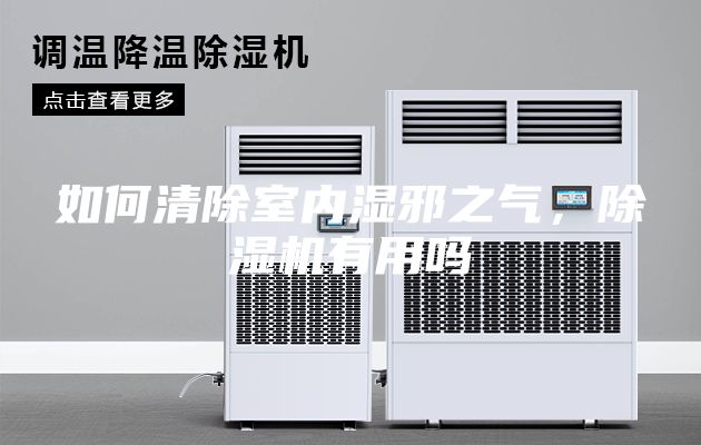 如何清除室内湿邪之气，除湿机有用吗