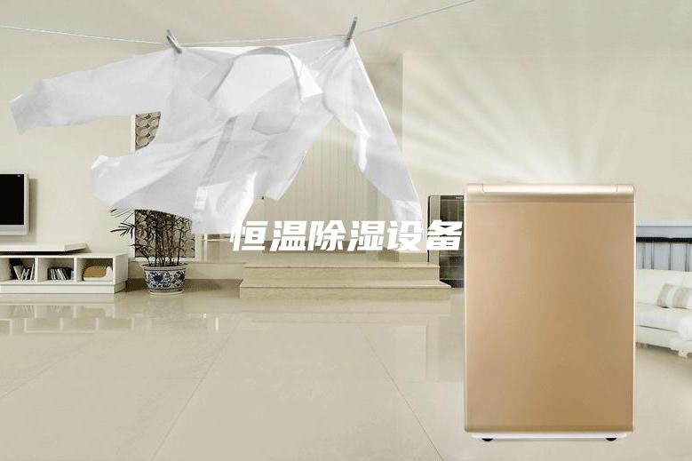 恒温除湿设备