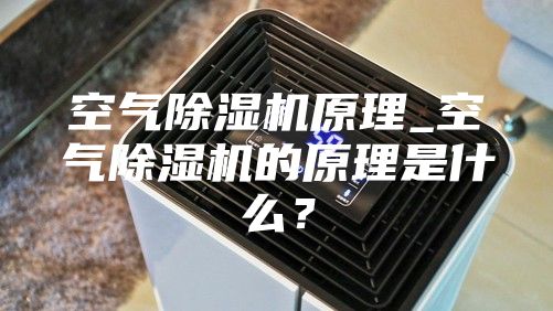 空气除湿机原理_空气除湿机的原理是什么？
