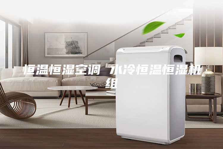 恒温恒湿空调 水冷恒温恒湿机组