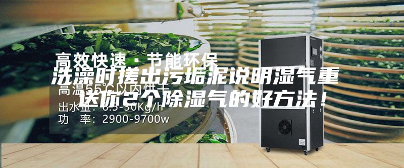 洗澡时搓出污垢泥说明湿气重 送你2个除湿气的好方法！