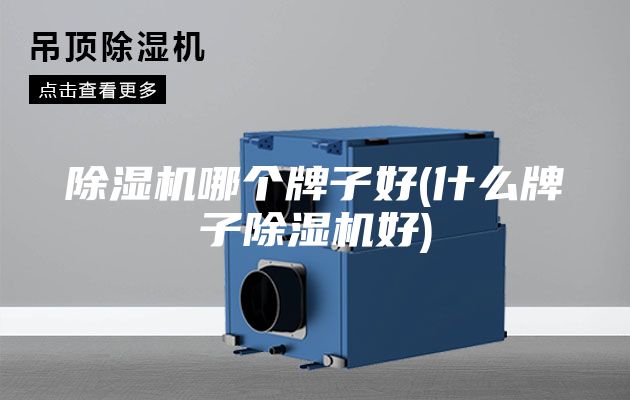 除湿机哪个牌子好(什么牌子除湿机好)