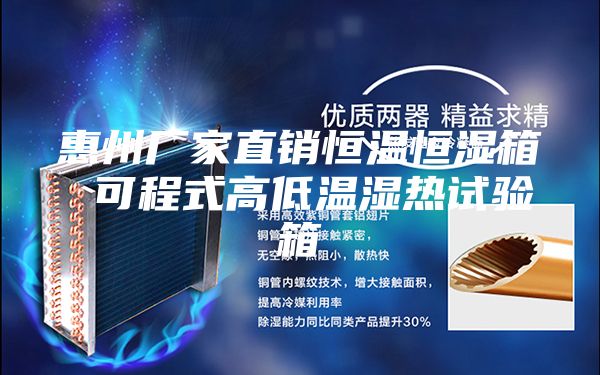 惠州厂家直销恒温恒湿箱 可程式高低温湿热试验箱