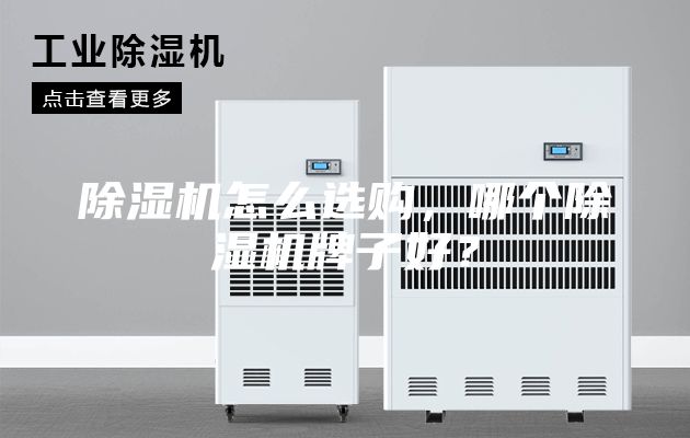 除湿机怎么选购，哪个除湿机牌子好？