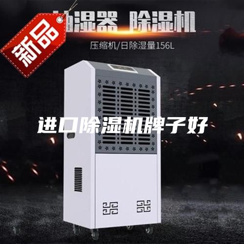 进口除湿机牌子好