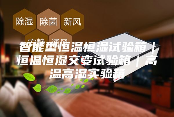 智能型恒温恒湿试验箱｜恒温恒湿交变试验箱｜高温高湿实验箱