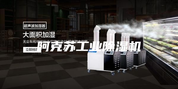 阿克苏工业除湿机