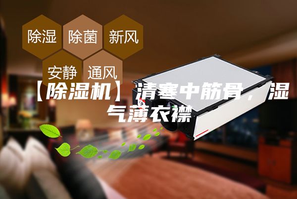 【除湿机】清寒中筋骨，湿气薄衣襟