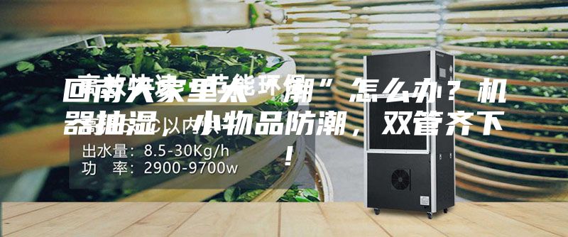 回南天家里太“潮”怎么办？机器抽湿，小物品防潮，双管齐下！