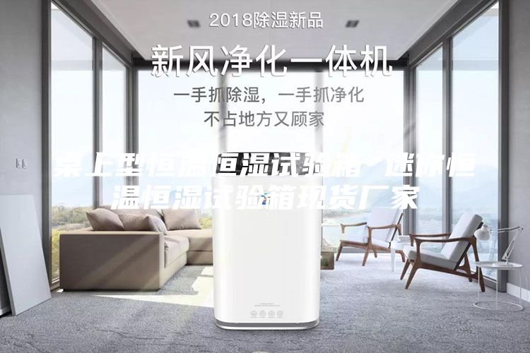 桌上型恒温恒湿试验箱 迷你恒温恒湿试验箱现货厂家