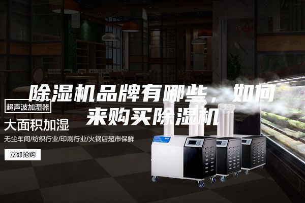 除湿机品牌有哪些，如何来购买除湿机