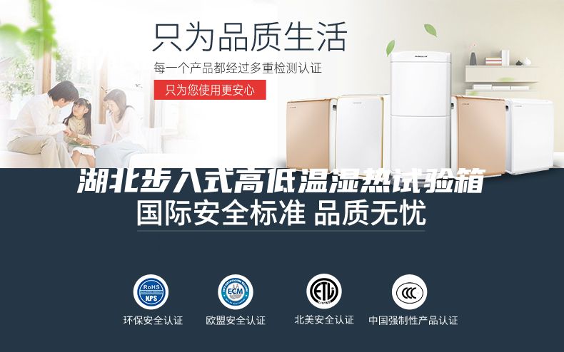 湖北步入式高低温湿热试验箱