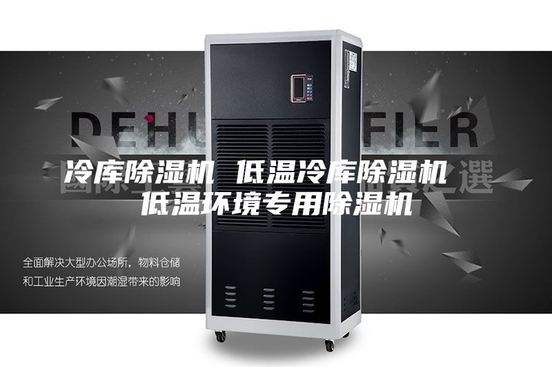 冷库除湿机 低温冷库除湿机  低温环境专用除湿机