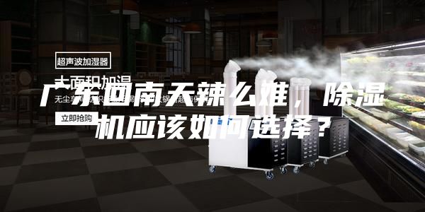 广东回南天辣么难，除湿机应该如何选择？