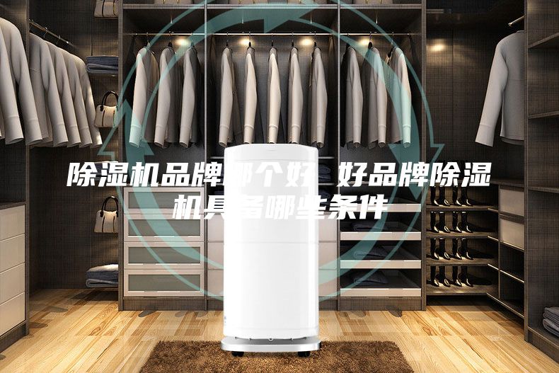 除湿机品牌哪个好 好品牌除湿机具备哪些条件