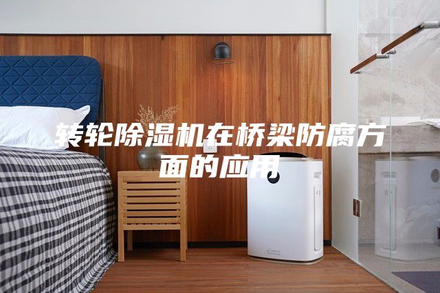 转轮除湿机在桥梁防腐方面的应用