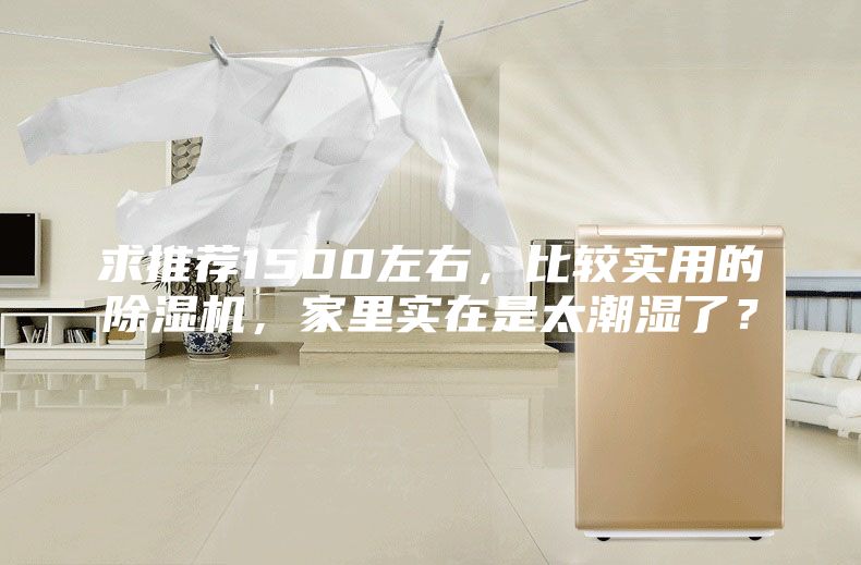 求推荐1500左右，比较实用的除湿机，家里实在是太潮湿了？