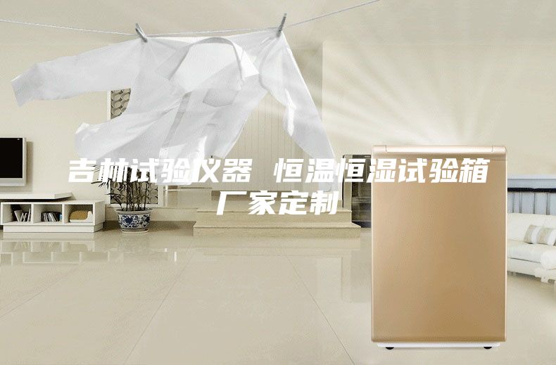 吉林试验仪器 恒温恒湿试验箱厂家定制