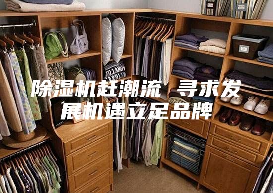 除湿机赶潮流 寻求发展机遇立足品牌