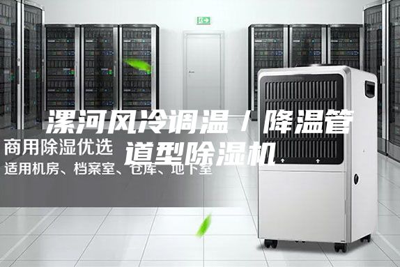漯河风冷调温／降温管道型除湿机