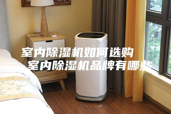 室内除湿机如何选购   室内除湿机品牌有哪些