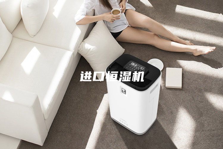 进口恒湿机