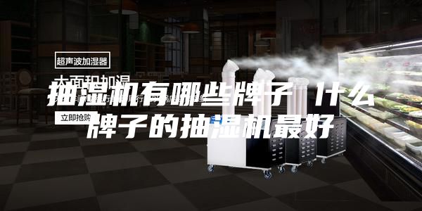 抽湿机有哪些牌子 什么牌子的抽湿机最好