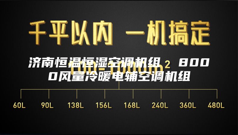 济南恒温恒湿空调机组  8000风量冷暖电辅空调机组