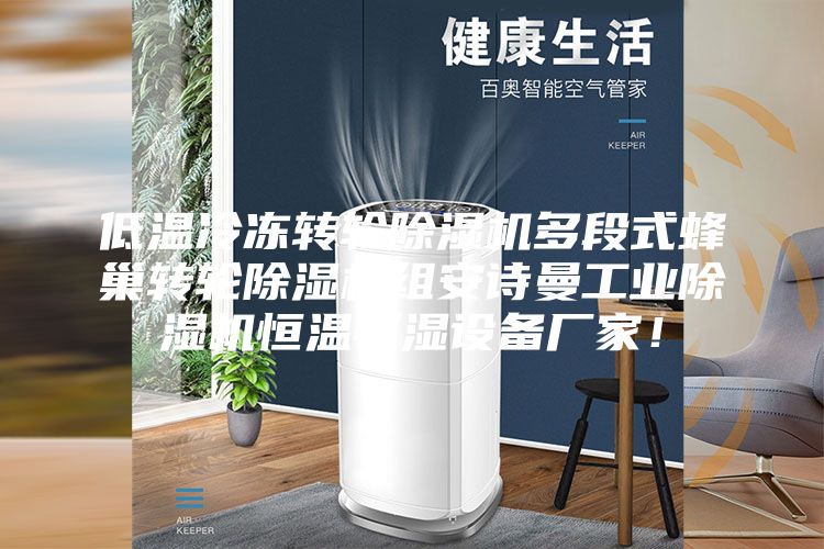 低温冷冻转轮除湿机多段式蜂巢转轮除湿机组安诗曼工业除湿机恒温恒湿设备厂家！