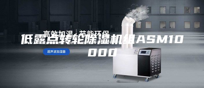 低露点转轮除湿机组ASM10000