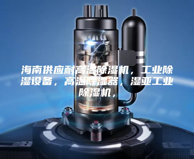 海南供应耐高温除湿机，工业除湿设备，高温除湿器，湿亚工业除湿机，