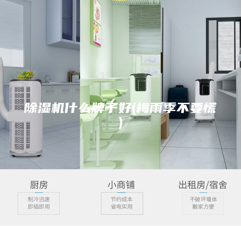 除湿机什么牌子好(梅雨季不要慌)