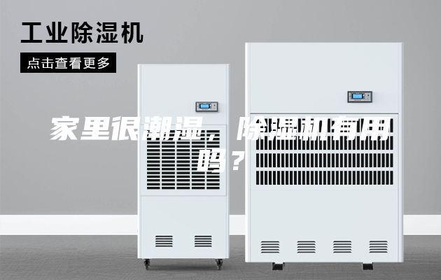 家里很潮湿，除湿机有用吗？