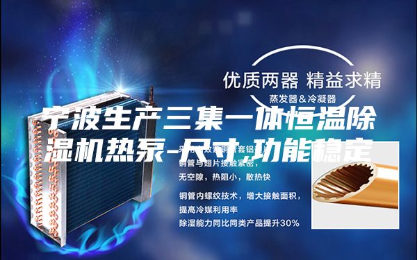 宁波生产三集一体恒温除湿机热泵-尺寸,功能稳定