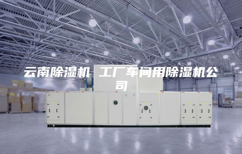 云南除湿机 工厂车间用除湿机公司