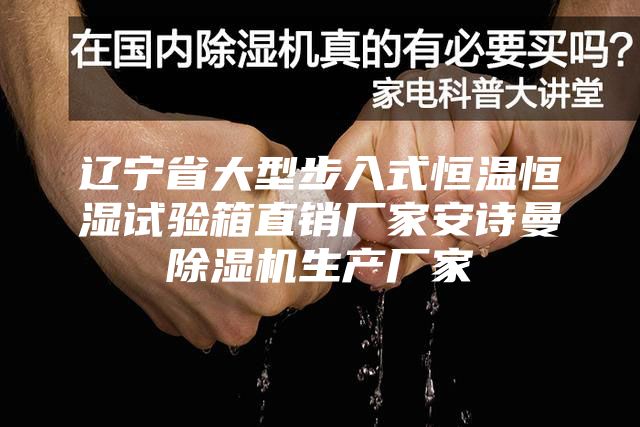 辽宁省大型步入式恒温恒湿试验箱直销厂家安诗曼除湿机生产厂家