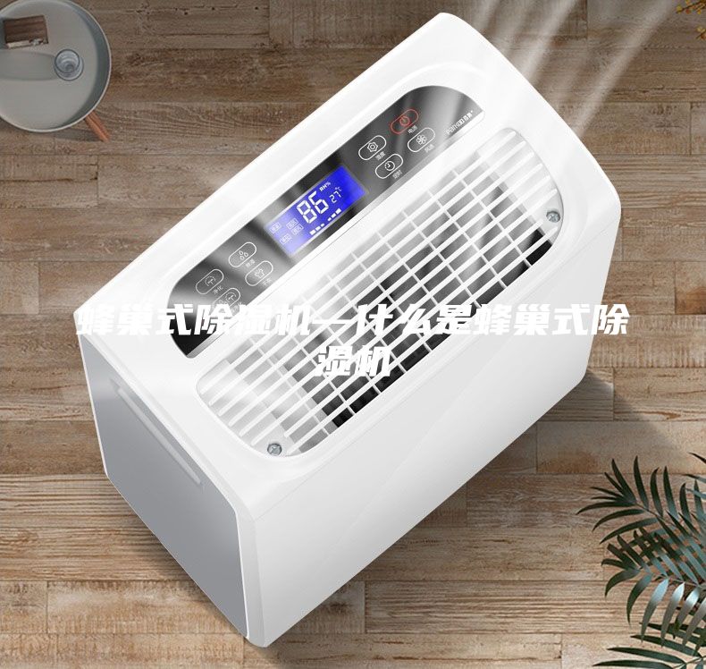 蜂巢式除湿机—什么是蜂巢式除湿机