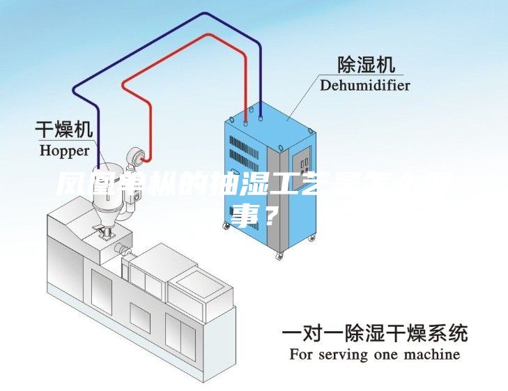 凤凰单枞的抽湿工艺是怎么回事？