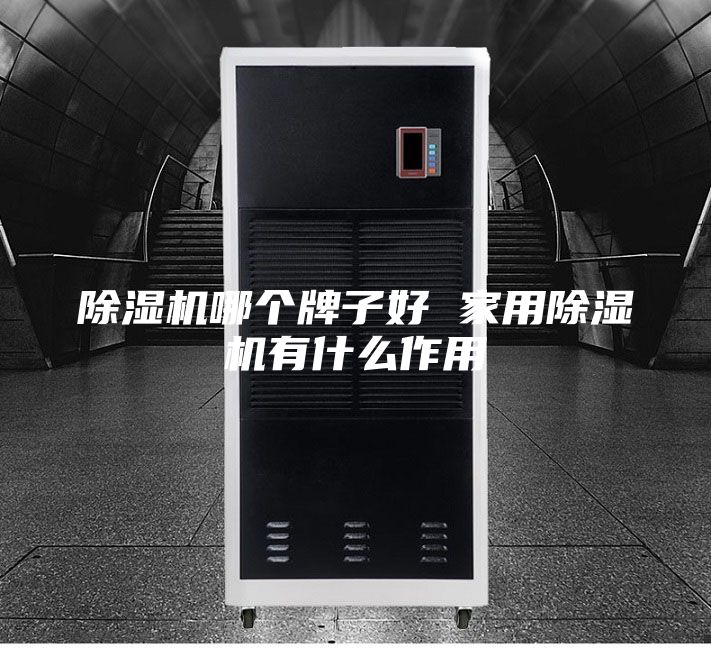 除湿机哪个牌子好 家用除湿机有什么作用