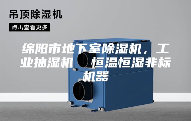绵阳市地下室除湿机，工业抽湿机  恒温恒湿非标机器
