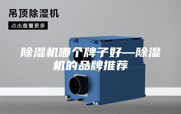 除湿机哪个牌子好—除湿机的品牌推荐