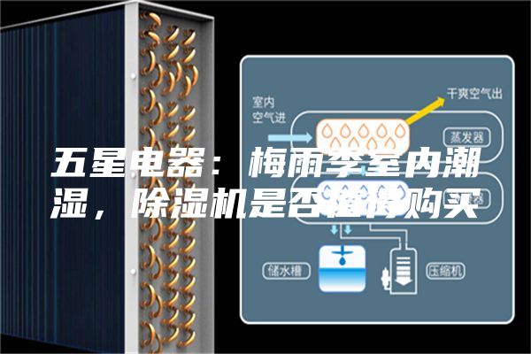 五星电器：梅雨季室内潮湿，除湿机是否值得购买