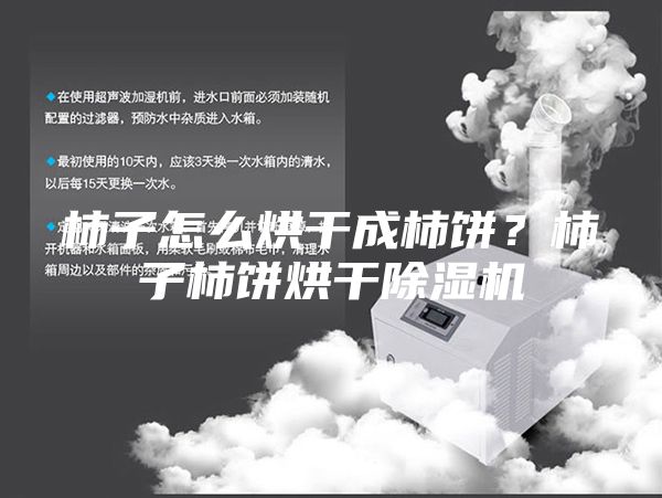 柿子怎么烘干成柿饼？柿子柿饼烘干除湿机