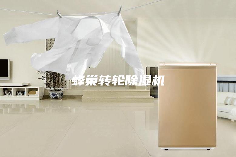 蜂巢转轮除湿机