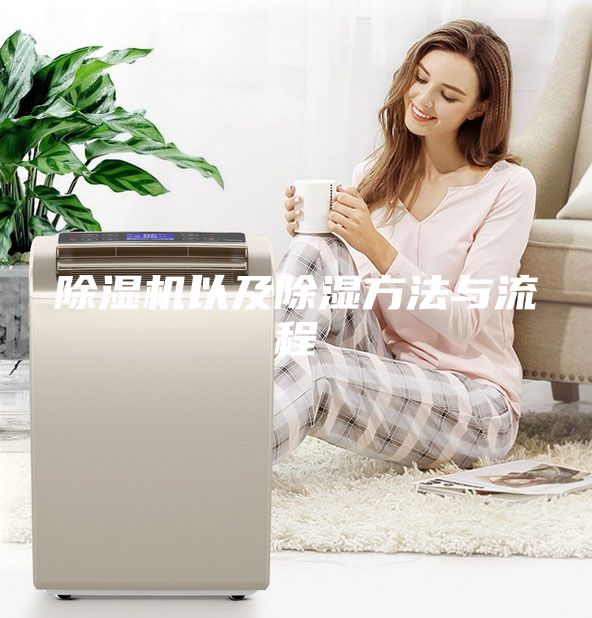 除湿机以及除湿方法与流程