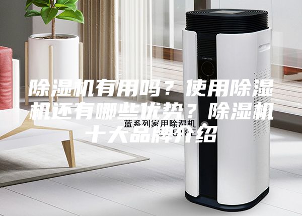 除湿机有用吗？使用除湿机还有哪些优势？除湿机十大品牌介绍