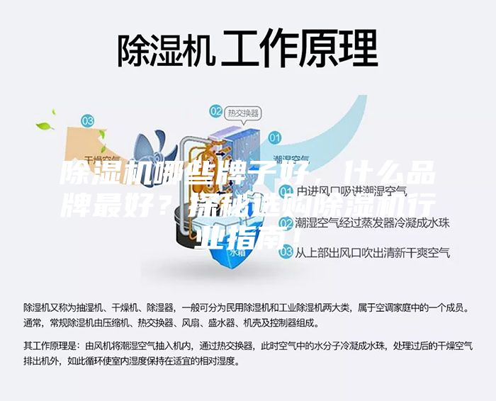 除湿机哪些牌子好，什么品牌最好？探秘选购除湿机行业指南！