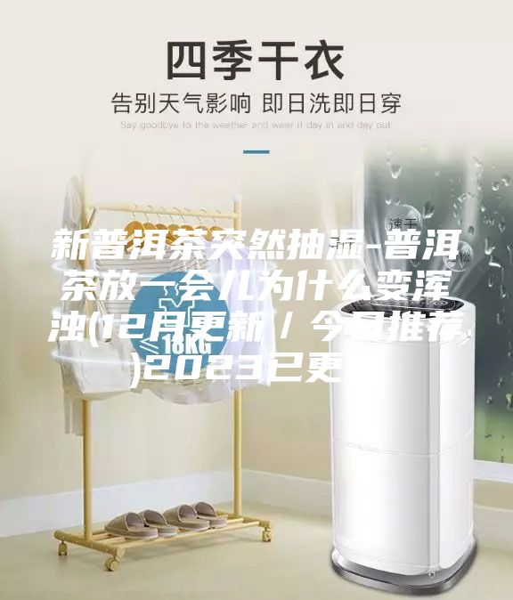 新普洱茶突然抽湿-普洱茶放一会儿为什么变浑浊(12月更新／今日推荐)2023已更新