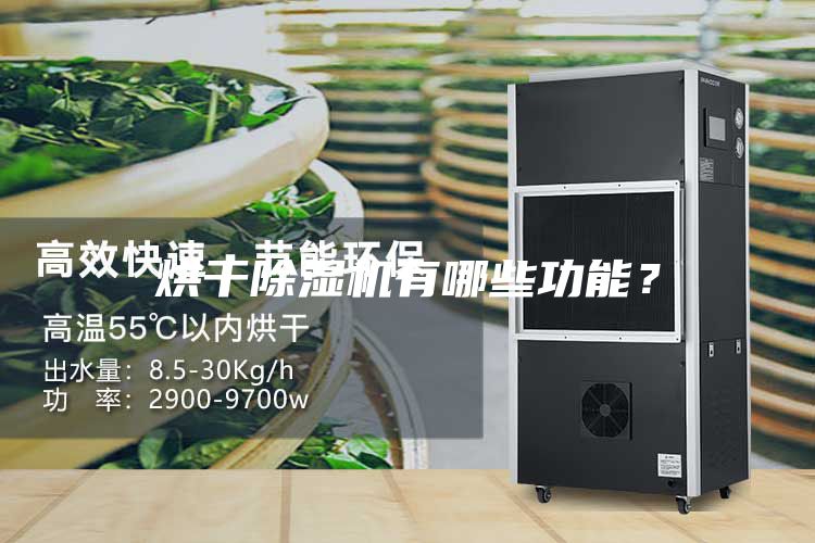 烘干除湿机有哪些功能？