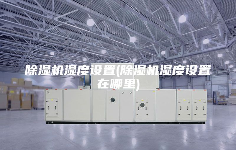 除湿机湿度设置(除湿机湿度设置在哪里)